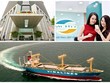 Viettel vượt PVN dẫn đầu về lãi, Vinalines tiếp tục đội sổ với con số lỗ lũy kế hơn 3.000 tỷ đồng