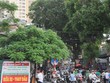 Khu vực quận Hoàng Mai có rất nhiều dự án Web Tổng Nhà Cái 99Kl99 Giải Trí Bậc Nhất được triển khai. Ảnh: Dũng Minh