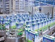 Ẩn số thoái vốn tại Vinamilk khi khối ngoại “ép giá”