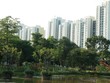 Dự án xanh không đơn giản chỉ là dự án có nhiều cây xanh