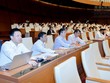 Quốc hội chấp thuận thí điểm cấp thị thực điện tử cho người nước ngoài nhập cảnh Việt Nam
