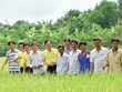 Mục tiêu trên hết mà Đạm Cà Mau muốn hướng tới đó là những nụ cười của bà con nông dân sau những vụ mùa thắng lợi