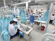 Vinatex: Hội đồng quản trị chốt phương án lên UPCoM