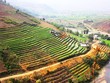 Phượt trên Tà Si Láng