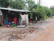 Đường vào Khu đô thị quốc tế Đại học Quốc tế Việt Nam của Berjaya bị xuống cấp nghiêm trọng do dự án bị treo. Ảnh: Việt Dũng