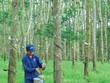 Ảnh Internet