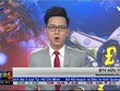 Bản tin Kl991.com nạp rút nhanh Kl992 VIP Trang Chủ 2026 trưa 22-11