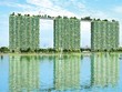 Phúc Khang tiếp tục triển khai các dự án xanh theo tiêu chuẩn của Mỹ