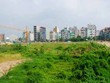 Ảnh Internet