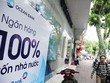 3 phương án thành lập cơ quan đại diện vốn 99Kl99 trực tiếp đá gà