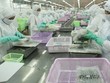 FMC đặt kế hoạch lãi trước thuế tối thiểu 100 tỷ đồng