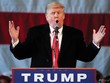 Tổng thống thứ 45 của Mỹ, Donald Trump không có tên trong danh sách 20 tỷ phú Web Tổng Nhà Cái 99Kl99 Giải Trí Bậc Nhất giàu nhất thế giới 2016