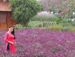 Ngày mới luôn tươi