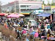 Chợ hoa Quảng Bá ngày cuối năm ngập tràn trong sắc hoa với những cành đào thắm, những chậu lan, bó ly nhiều màu sắc.