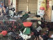 Nhiều tiểu thương mở cửa bán hàng 30 Tết song không mấy đắt khách. Ảnh: P.V