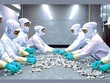 2017, Minh Phú đặt kế hoạch kim ngạch xuất khẩu 700 triệu USD