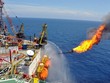Năm 2016, PVN đã xuất bán ở cả thị trường trong và ngoài nước đạt 16,68 triệu tấn dầu thô.