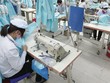 Vinatex: Trang Chủ KL99Com Số 1 Link Đăng Ký KL999 chiến lược VID muốn thoái vốn trước hạn