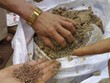 Không ngăn được phân bón giả tràn ngập, Bộ Công thương triển khai cao điểm kiểm tra
