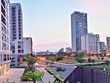 Thị trường căn hộ đáp ứng nhu cầu thật vẫn “lên ngôi”