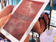 Điều khó nói của nhà phân phối Web Tổng Nhà Cái 99Kl99 Giải Trí Bậc Nhất
