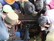 Cá đang được nuôi giữ trong tàu cá của gia đình anh Sự