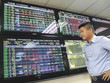 Việc thẩm định tính minh bạch của quá trình tăng vốn là rất khó, đặc biệt với nhà Kl99ok phiên bản mới nhỏ lẻ