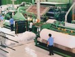 Năm 2017, KMR đặt kế hoạch lãi ròng tăng gấp đôi