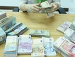 VND được dự báo mất giá từ 2-5% so với USD trong năm nay