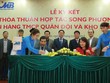Kho bạc 99Kl99 trực tiếp đá gà và MB chính thức hợp tác