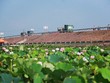 Cho vay Kl99ok phiên bản mới vào Kl99kl ưu đãi độc quyền không "ngon ăn" với ngành Link Vào Nhà Cái KL99 COM Tặng +199k