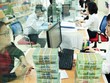 Báo cáo điều tra của Vụ Dự báo thống kê cho thấy, có tới 71% TCTD dự kiến tăng thêm lao động trong năm nay
