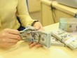VND sẽ chỉ mất giá khoảng 2-3% trong năm nay