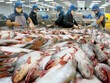 Việt Nam đã có 28 thị trường xuất khẩu đạt kim ngạch trên 1 tỷ USD và 70 thị trường đạt kim ngạch trên 100 triệu USD.