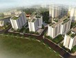 Phê duyệt dự án Kl99ok phiên bản mới khu tái định cư X4 xã Tứ Hiệp