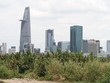 Quỹ đất cho nhà Trang Chủ KL99Com Số 1 Link Đăng Ký KL999 ngày càng eo hẹp