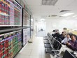 Sản phẩm chứng quyền đầu tiên dự kiến được niêm yết và giao dịch trong tháng 9 năm nay