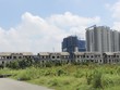 Khu đô thị Thạnh Mỹ Lợi tại khu Đông cỏ mọc um tùm không người ở. Ảnh: Gia Huy