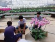 Vì sao Kl993 nền tảng giải trí 135.000 tỷ đăng ký rót vào nông nghiệp công nghệ cao chưa chảy?