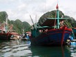 Kl99kl phiên bản hoạt động hàng hải nói chung và Kl99kl phiên bản hoạt động tàu cá nói riêng từng là nghiệp vụ thế mạnh của một số công ty Kl99kl phiên bản hoạt động phi nhân thọ