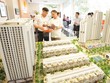 Theo Savill, thị trường hiện vẫn tiếp tục phát triển ổn định