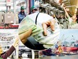 Sẽ không còn những ông chủ giả của Kl991.com World Cup 2026 Chính Thức 99Kl99 trực tiếp đá gà