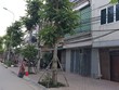Người dân tổ 18 E cho rằng, chính quyền quận Hai Bà Trưng đang “mập mờ” trong việc vị trí thu hồi đất thực hiện dự án của Công ty Vĩnh Hưng. Ảnh: Nhất Nam