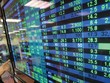 Quỹ ETF nội mô phỏng VN30 đạt Kl99 nổ hũ ấn tượng