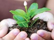 Đại đa số DN Việt Nam chưa “chủ động” xây dựng chiến lược bền vững dài hạn.