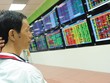 Dòng tiền dè dặt bắt đáy