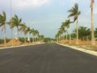 Một dự án dất nền tại Đồng Nai đang có giao dịch khá sôi động