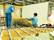 Môi trường Kl992 VIP Trang Chủ 2026 minh bạch là định hướng chính để hỗ trợ phát triển DNNVV