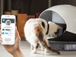 Catspad, thiết bị giúp nuôi thú cưng khi bạn vắng nhà