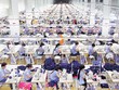 6 tháng đầu năm 2017, TCM ước đạt tối thiểu 115 tỷ đồng Kl99 nổ hũ sau thuế